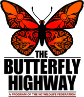 The Butterfly Highway